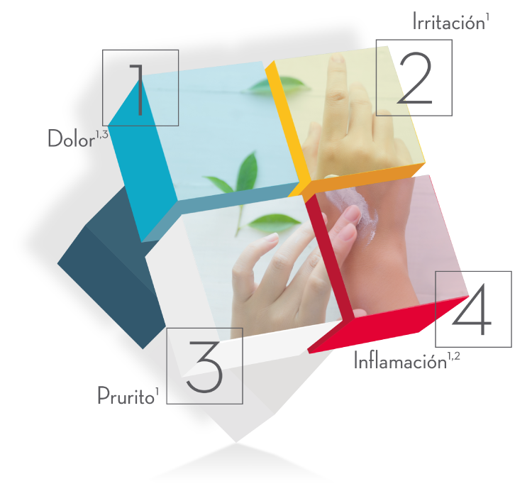 01_CUBO-DERMA-QUADRILOID